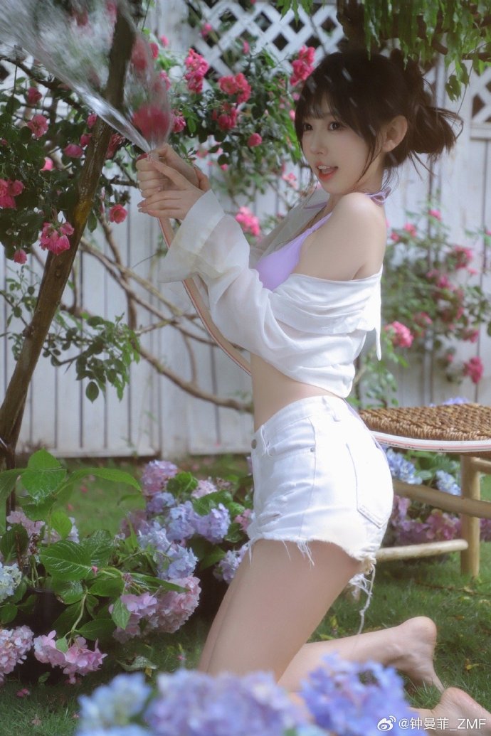阿甘正传 封面